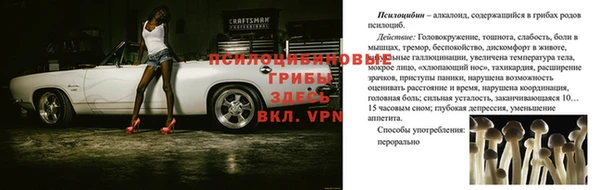 твердый Абинск