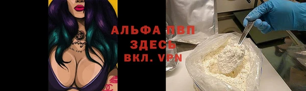 ПСИЛОЦИБИНОВЫЕ ГРИБЫ Абаза