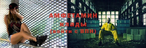 ПСИЛОЦИБИНОВЫЕ ГРИБЫ Абаза