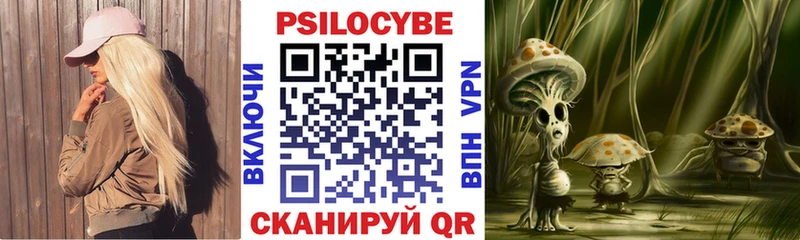 Псилоцибиновые грибы Psilocybe  Циолковский 